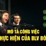 Chi tiết các công việc mà BLV cần thực hiện