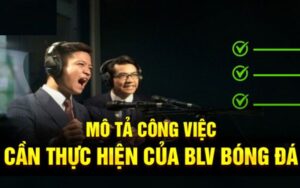 Chi tiết các công việc mà BLV cần thực hiện